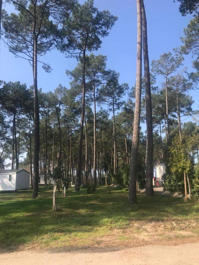 Escape Mobilhome Aux Dunes De Contis Сен-Жульєн-ан-Борн Екстер'єр фото